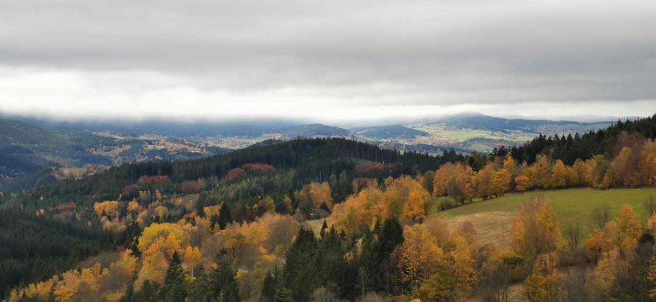 Hotel Zlaty Potok Nicov  Екстериор снимка