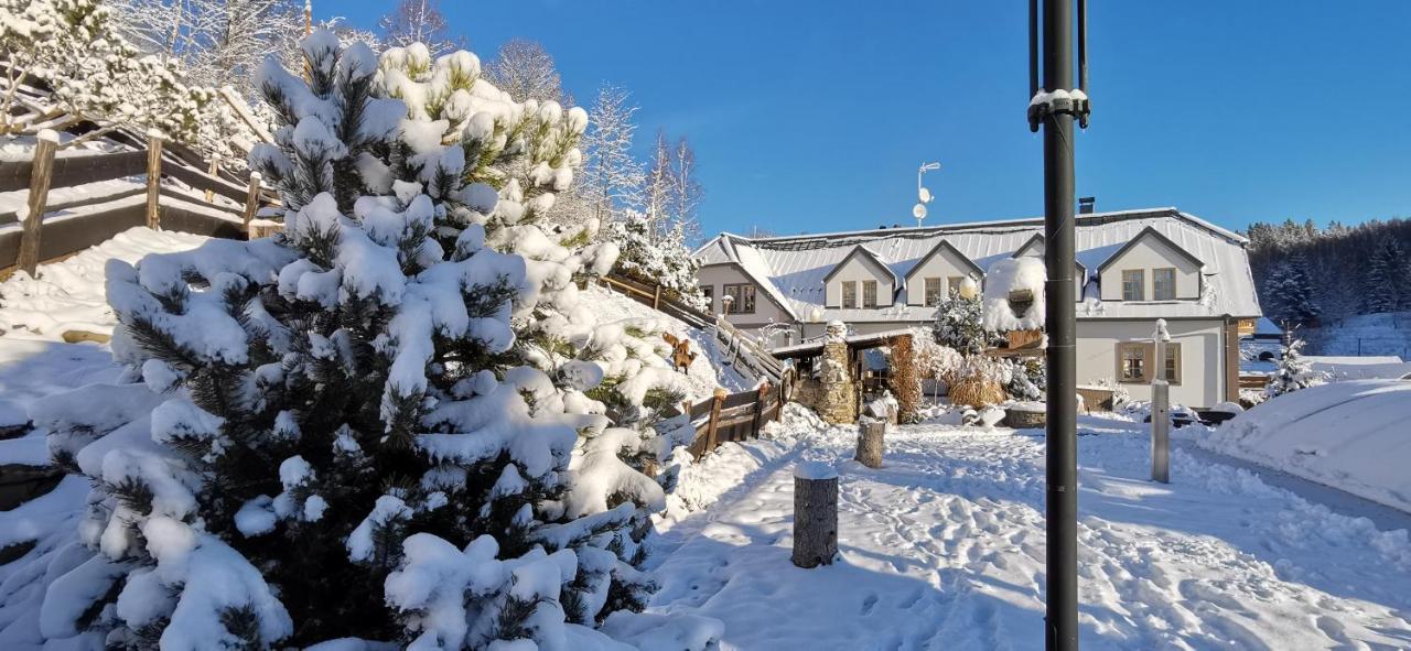 Hotel Zlaty Potok Nicov  Екстериор снимка