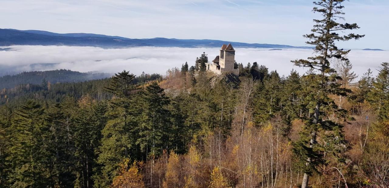 Hotel Zlaty Potok Nicov  Екстериор снимка