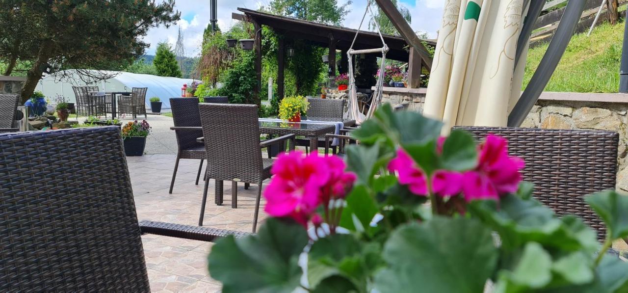 Hotel Zlaty Potok Nicov  Екстериор снимка